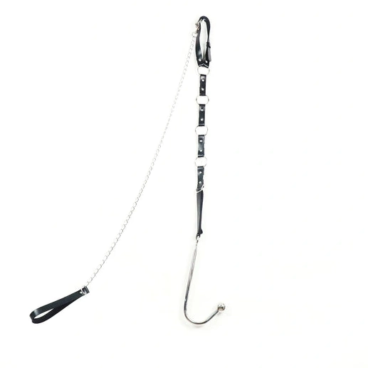Hook 5853 and Leash Kinky Collar EverydayUse with Anal 0919